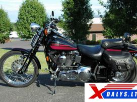 Harley-Davidson Bad Boy, чопперы / круизеры / custom