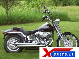 Harley-Davidson Springer, choppers