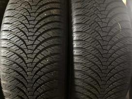 Falken EUROALL SEASON AS210, всесезонные 195/55 R16