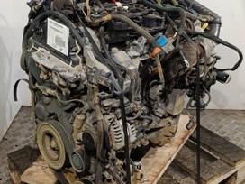 Citroen Berlingo, YHY  (DV5RD), двигатель