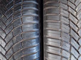 Bridgestone, all-season 225/55 R19