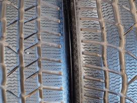 Continental, ziemas 225/35 R19