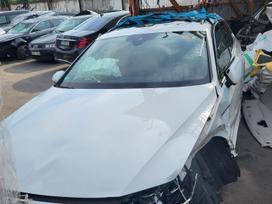 Volkswagen Passat dalimis
