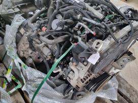 Opel Insignia, A20DTH, pavarų dėžė, variklis