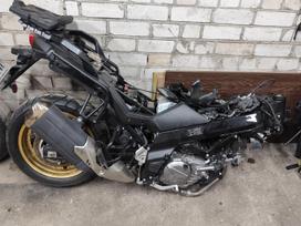 Suzuki DL (V-Strom), touring / sport touring