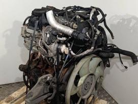Ford Transit, YMR6, Rwd ymr6 96kw 163000km variklis patikrintas ir pilnai veikia