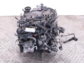 Volkswagen Passat, CBD, Variklis cbd