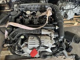 Peugeot 3008 Pilnas variklis su automatine pavaru deže awf8g30