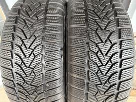 Uniroyal Winter expert, žieminės 205/50 R17