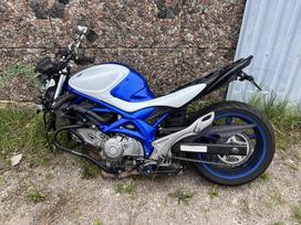 Suzuki SFV (Gladius), street / classic