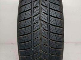 Barum Polaris 5 2023m, žieminės 205/55 R17