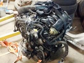Lexus GS klasė for parts. Turime įvairius lexus variklius ir pav dėžes имеем