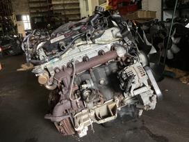 Iveco Daily, F1AE, engine parts