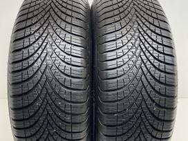 Dunlop AllSeason 2 2024m, всесезонные 195/65 R15