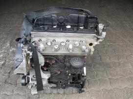 Volkswagen Golf Variklis 1 6d cay