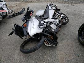 Suzuki DL (V-Strom), krosa / enduro