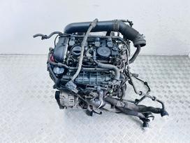 Volkswagen Passat, CCT, variklio detalės