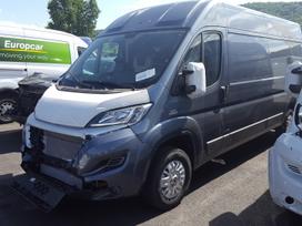 Fiat Ducato, грузовые микроавтобусы