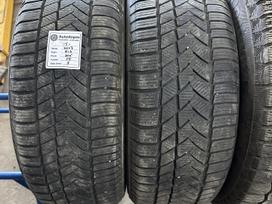 Sunny, žieminės 205/55 R16