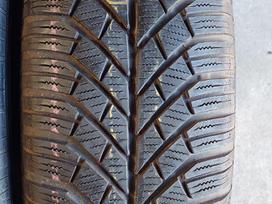 Continental, winter 205/65 R15