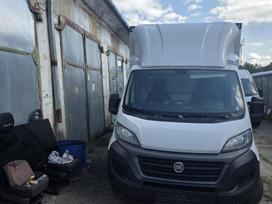 Fiat Ducato, krovininiai mikroautobusai