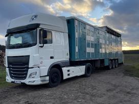 DAF XF, livestock trucks