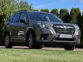 Subaru Forester, visureigis / krosoveris