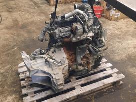 Ford Tranzit custom, preču