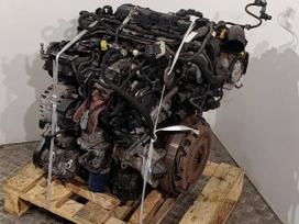 Citroen Jumpy, AHK /  DW10FE, engine