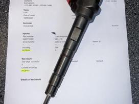 Skoda Octavia, 0445110369 0445110647, injection system