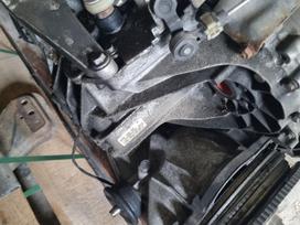 Renault Trafic, DVR67002 ZAC, gearbox
