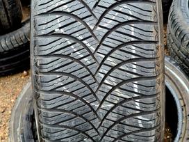 Goodride, all-season 225/55 R19