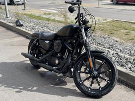 Harley-Davidson Sportster 883cc, čioperiai / kruizeriai / custom