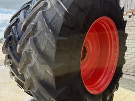 Michelin