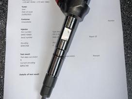 Volkswagen Tiguan, 0445110469, injection system