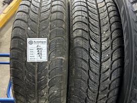 Sava, ziemas 185/65 R15