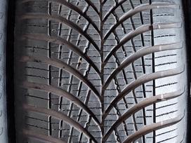 Goodyear, all-season 195/55 R16