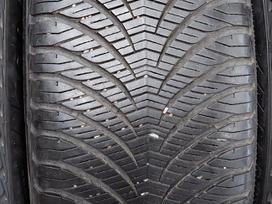 Goodyear, universalios 225/55 R17