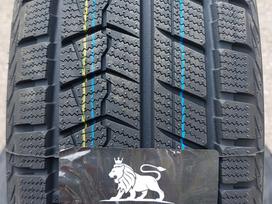 Tracmax , ARIVO M+S, WINRUN, зимние 185/60 R15