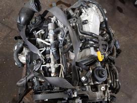 Volkswagen Passat variklio detalės
