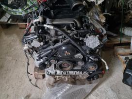 Audi A6, CHVA, коробка передач, двигатель