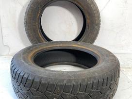 Sunny WINTER-GRIP, всесезонные 205/65 R16