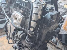 Ford Focus ST, R9DA, Tik pilnas r9da variklis su video mech ag9r7f096ab pavaru dez