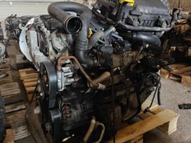 Nissan Primastar, M9R630, Variklis m9r630