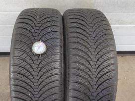 Falken Euro allseason AS210, vissezonas 195/55 R16
