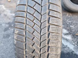 Continental ContiWinterContact TS830P, winter 195/55 R16