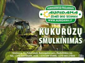Smulkiname kukurūzus