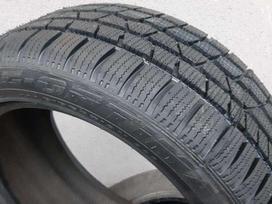 Continental RoyalBlack Arivo Sunny, зимние 225/50 R17