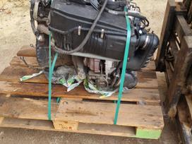 Mercedes-Benz C klasė, 646811, engine