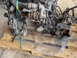 Ford Fiesta, UGJC, gearbox, engine